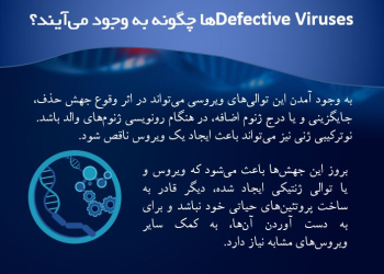 ویروس های معیوب (defective viruses)